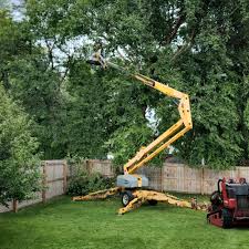 Best Emergency Tree Removal  in August, CA